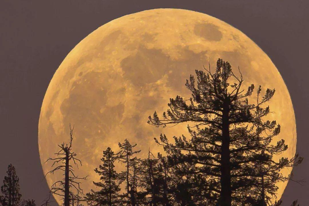 元宵赏月好时节正月十六16时17分月亮最圆