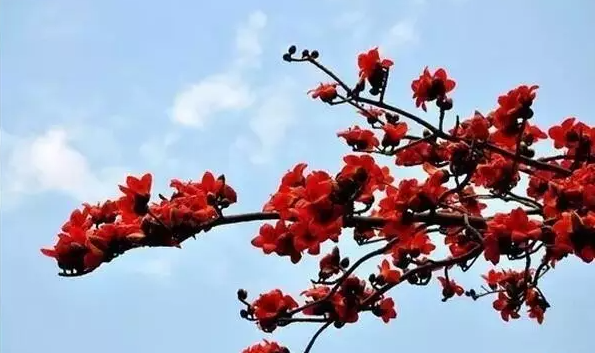 QQ图片20210309154006.png
