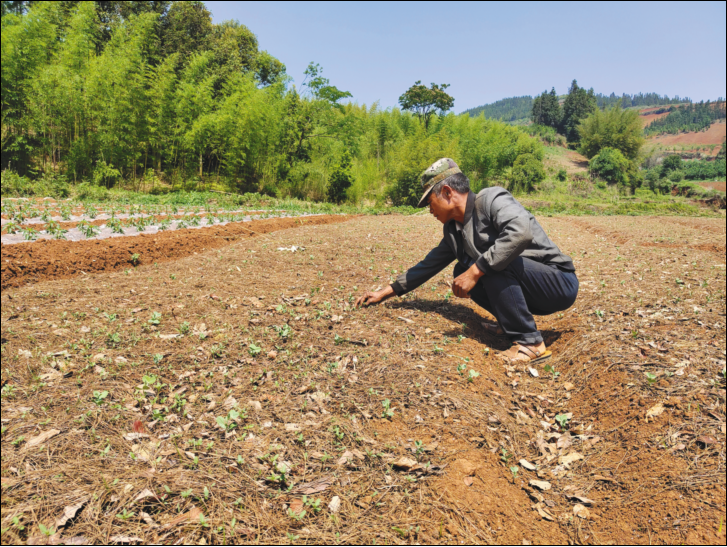 践行四力走基层旧寨村的大忙人