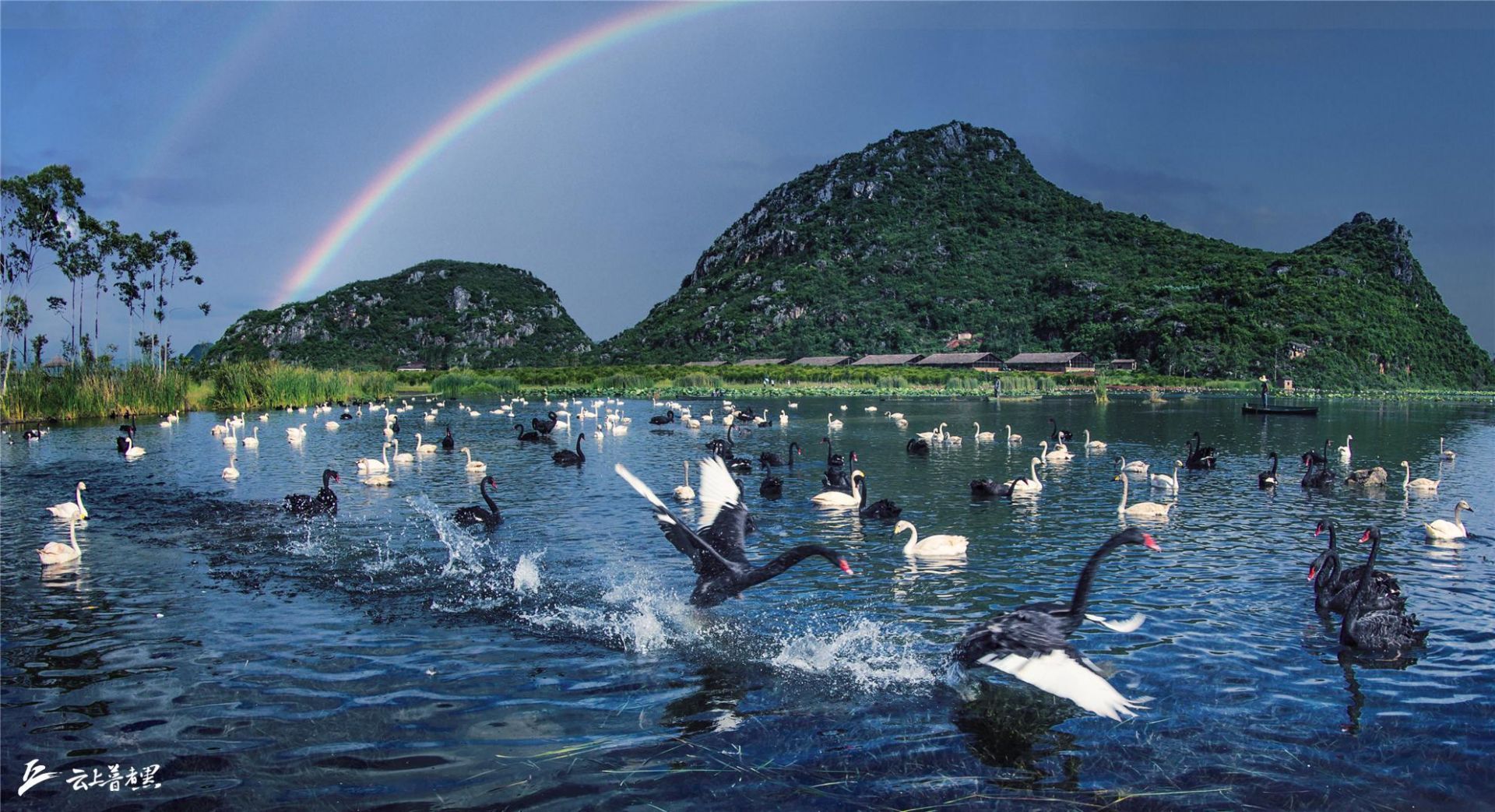 2021年5月19日原价115元/人/次,优惠价:92元/人/次普者黑景区天鹅湖