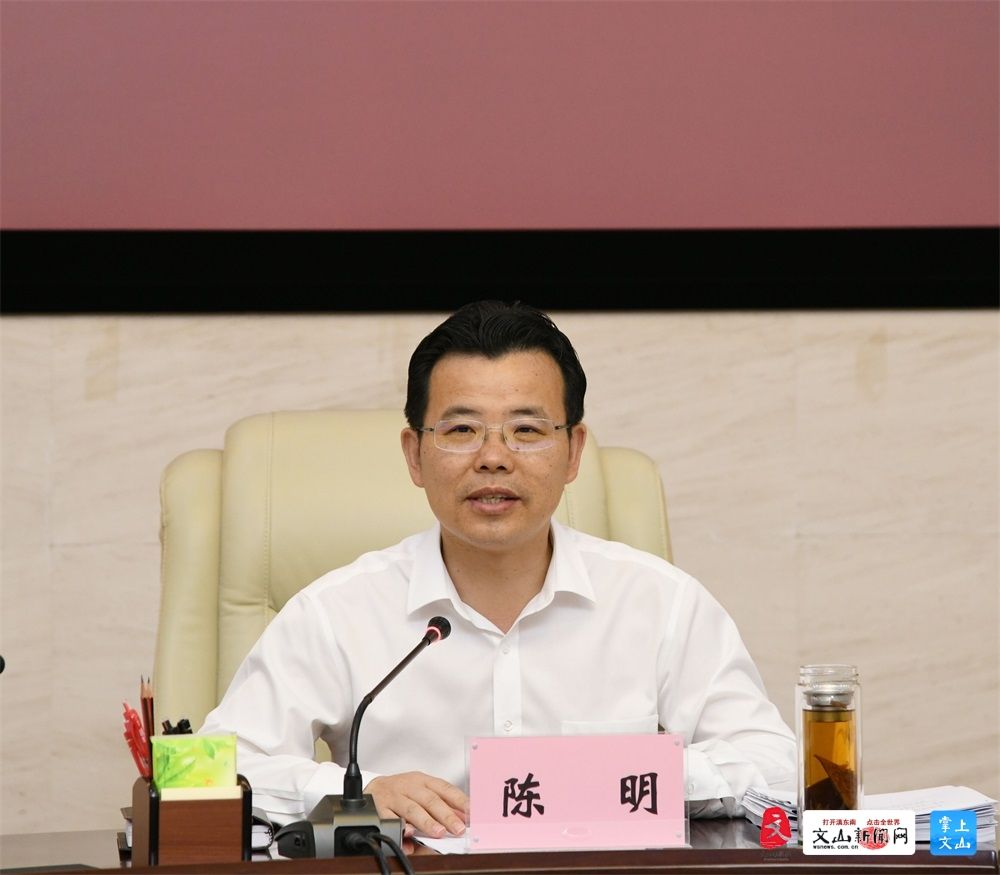 陈明:全力构建坚不可摧边境疫情防控铜墙铁壁