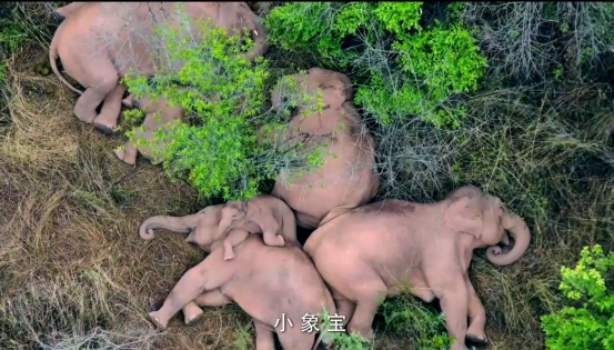 正在上传...