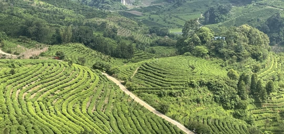 正在上传...