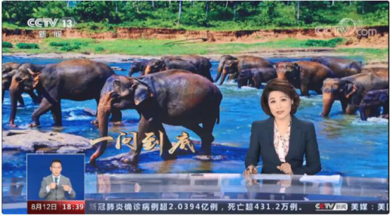 正在上传...
