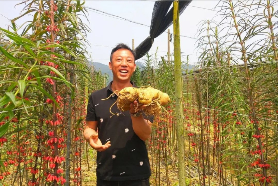 正在上传...