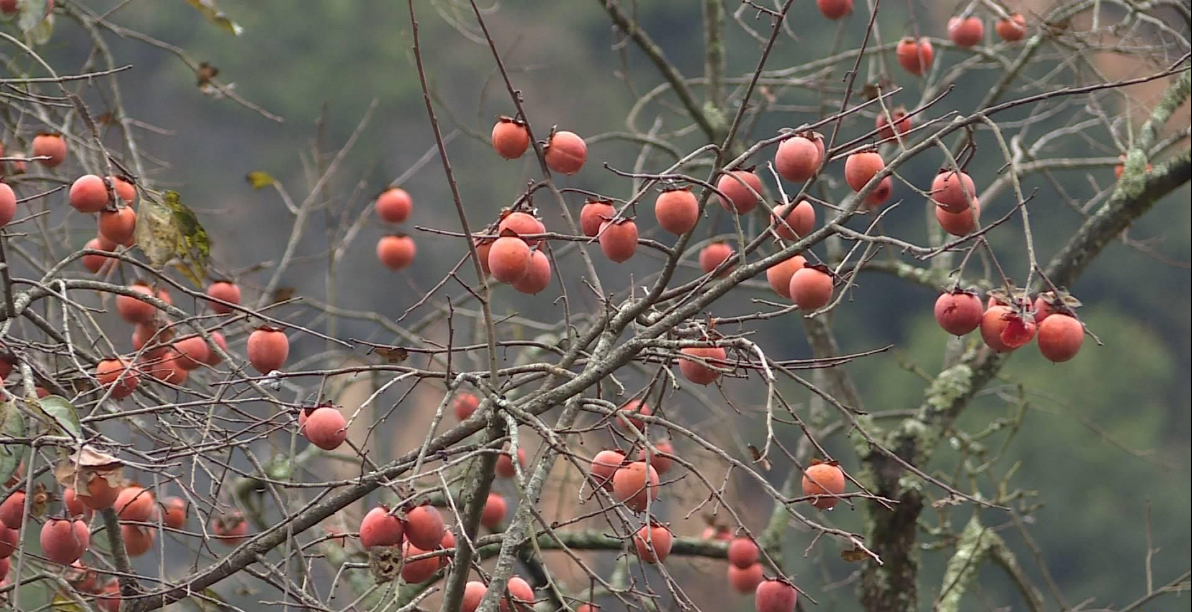 正在上传...
