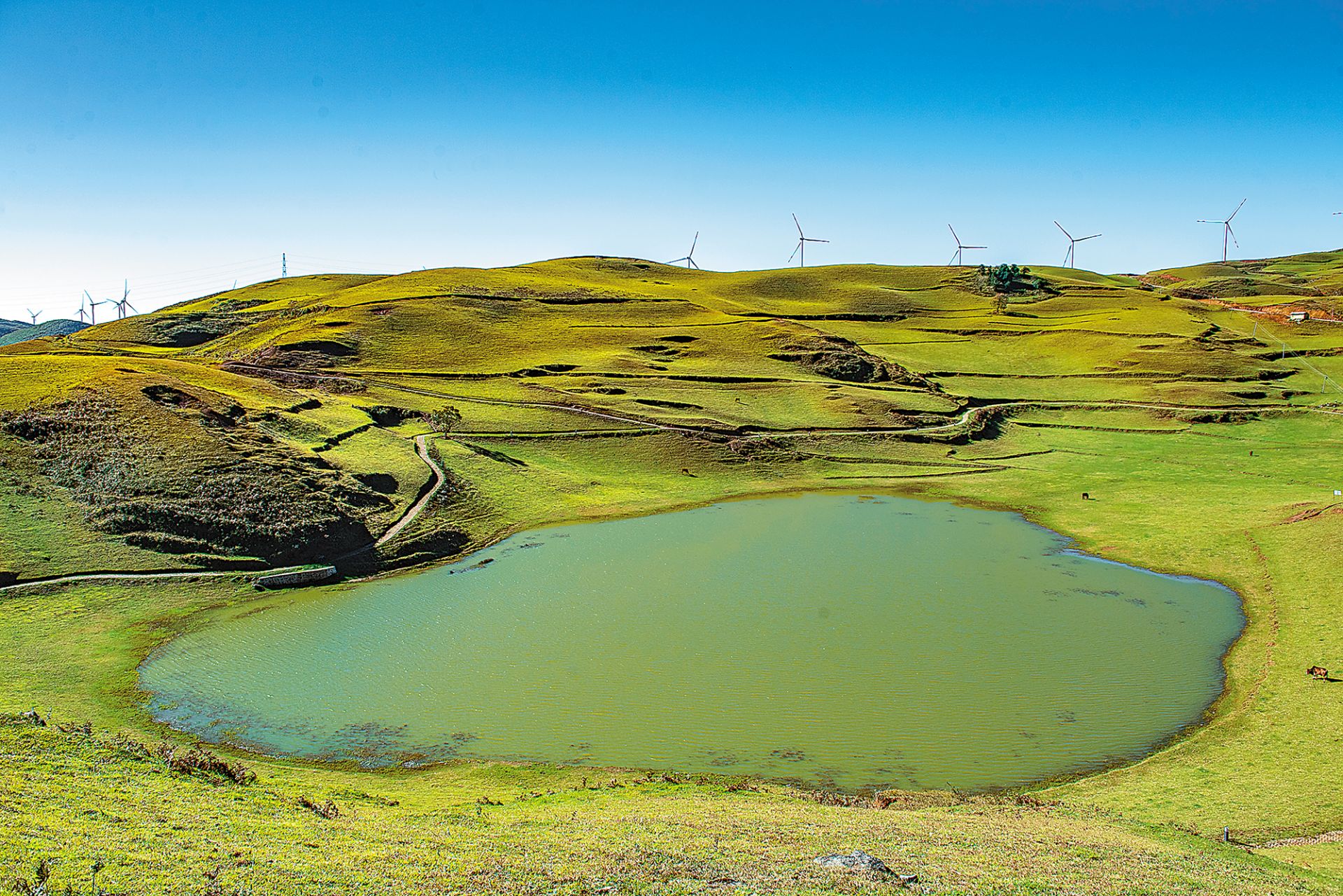 黑巴草场南国草原等你来