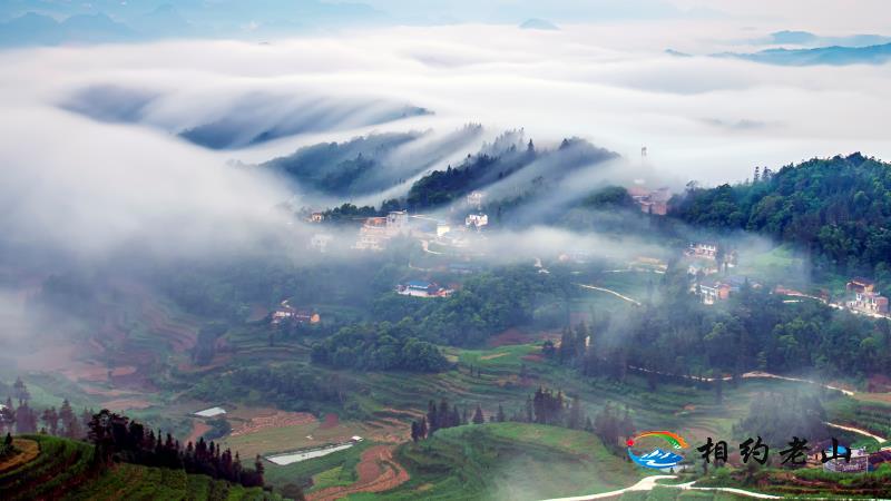 赏茨竹坝大美云海