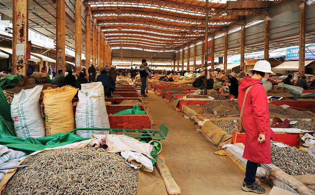 三七生产经营者注意这些行为不可取