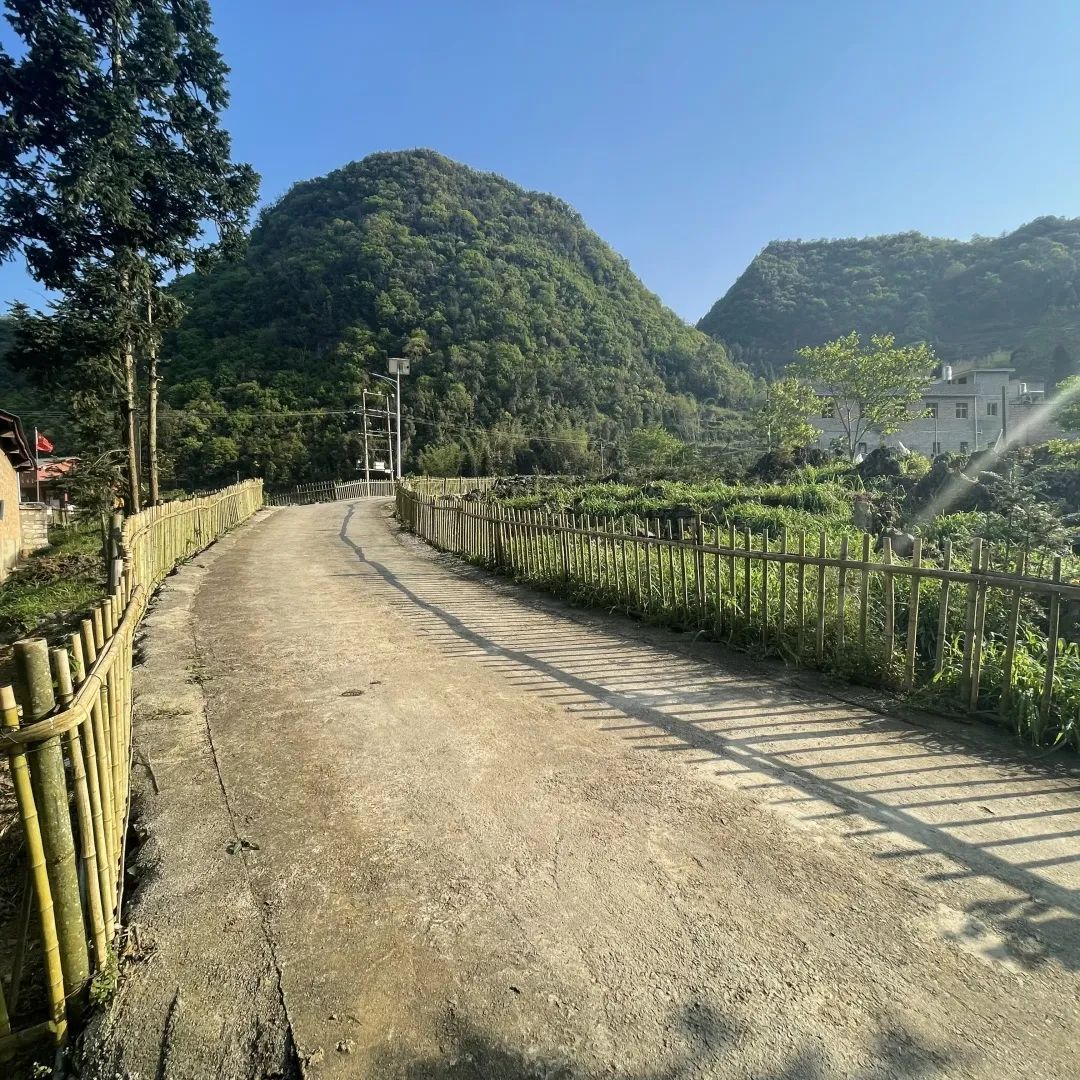 西畴鸡街乡小篱笆助力人居环境大变化