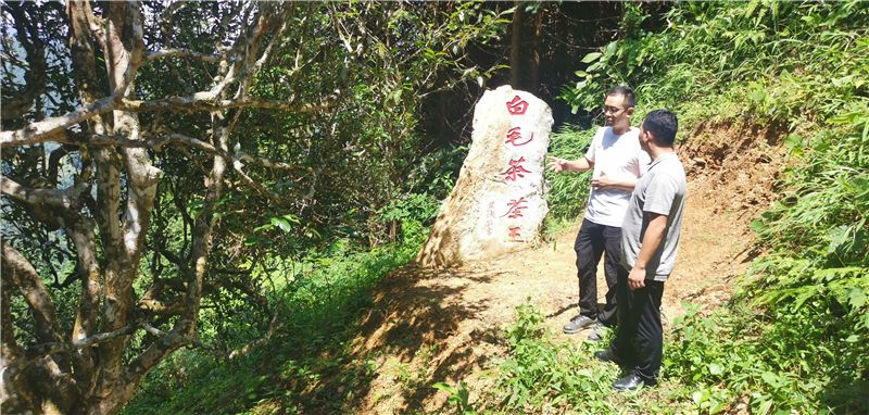 GetAttachment (2).jpg