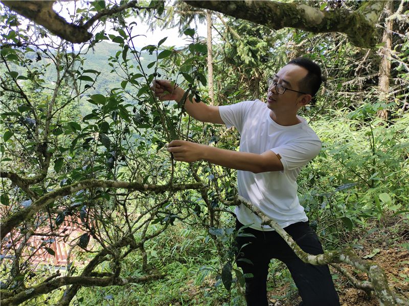 GetAttachment (1).jpg