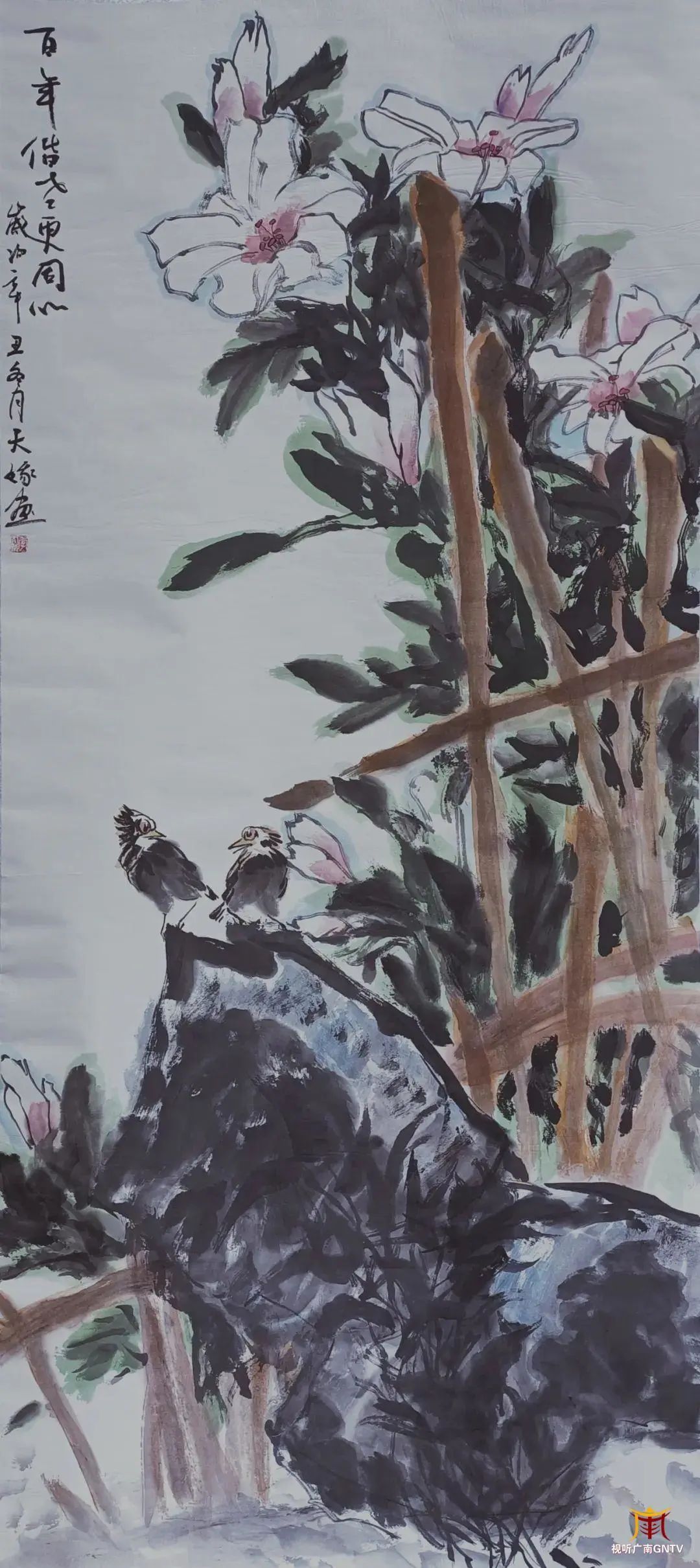 图片