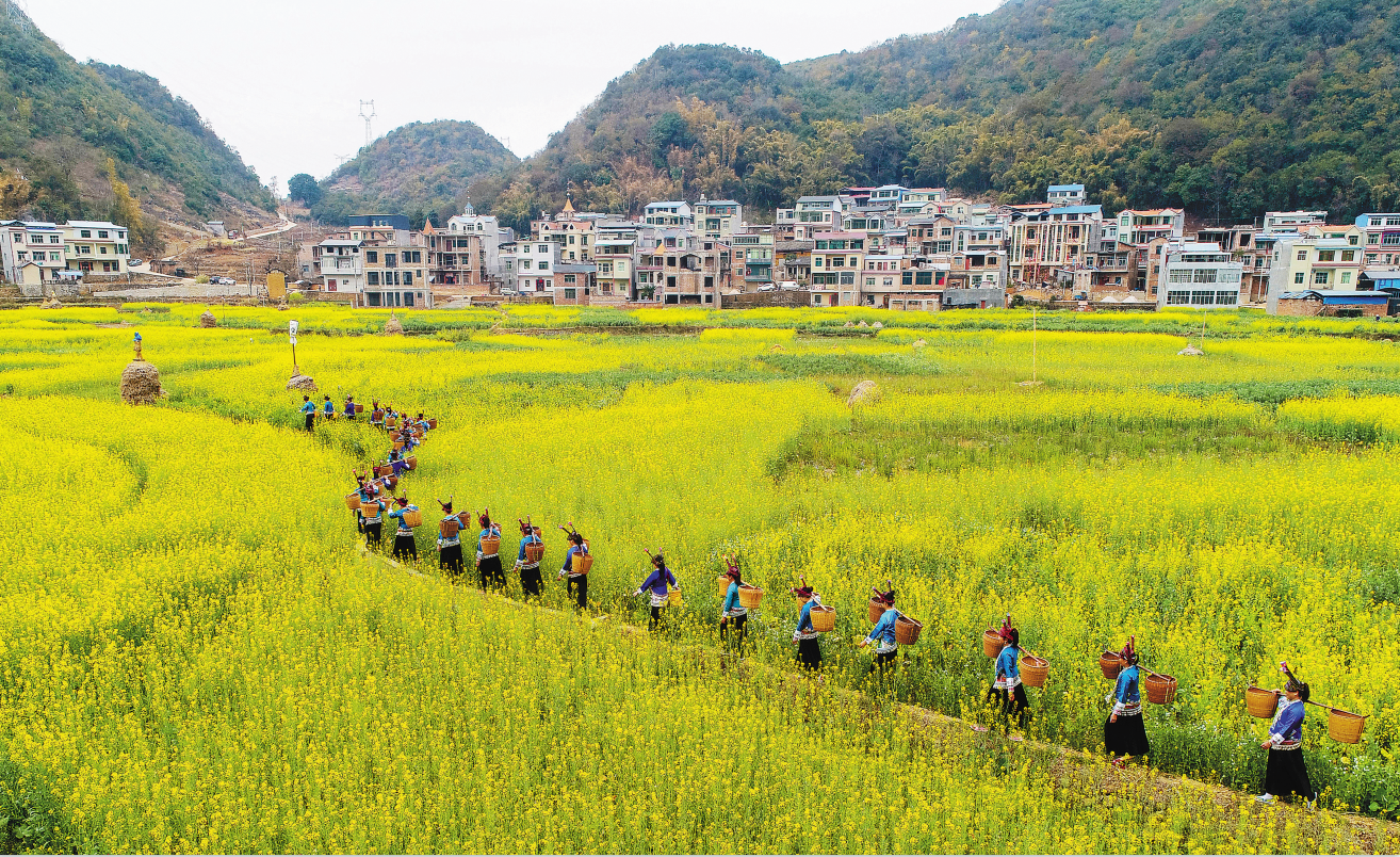 美广南董湖村壮乡美丽山水画卷
