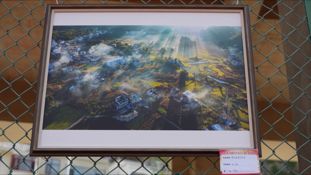 摄影大赛作品展3.png