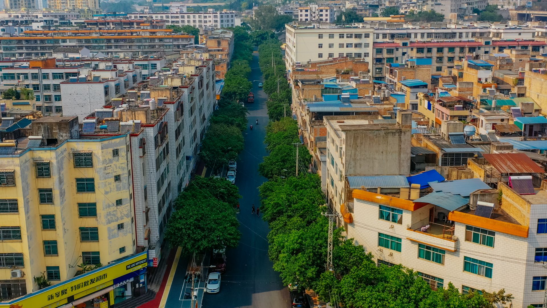 东沙路（建禾东路至沿河路）.jpg
