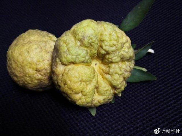 世界地球日素材
