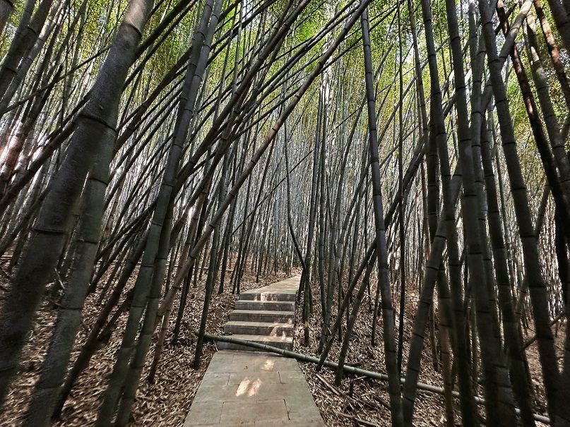 砚山：静谧绝美的竹林村落2.jpg