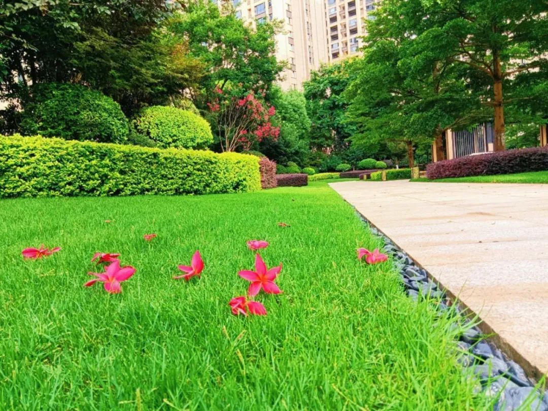 文山市：小区秀美如画19.jpg