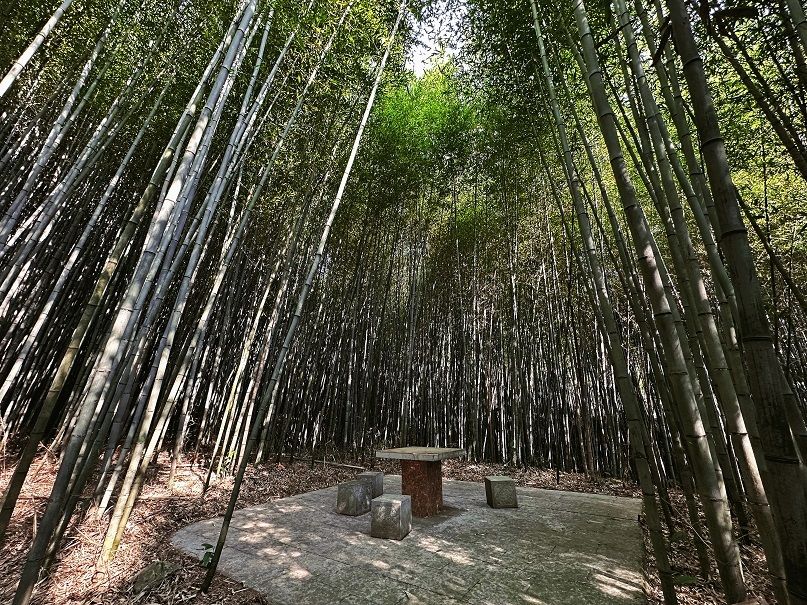 砚山：静谧绝美的竹林村落3.jpg