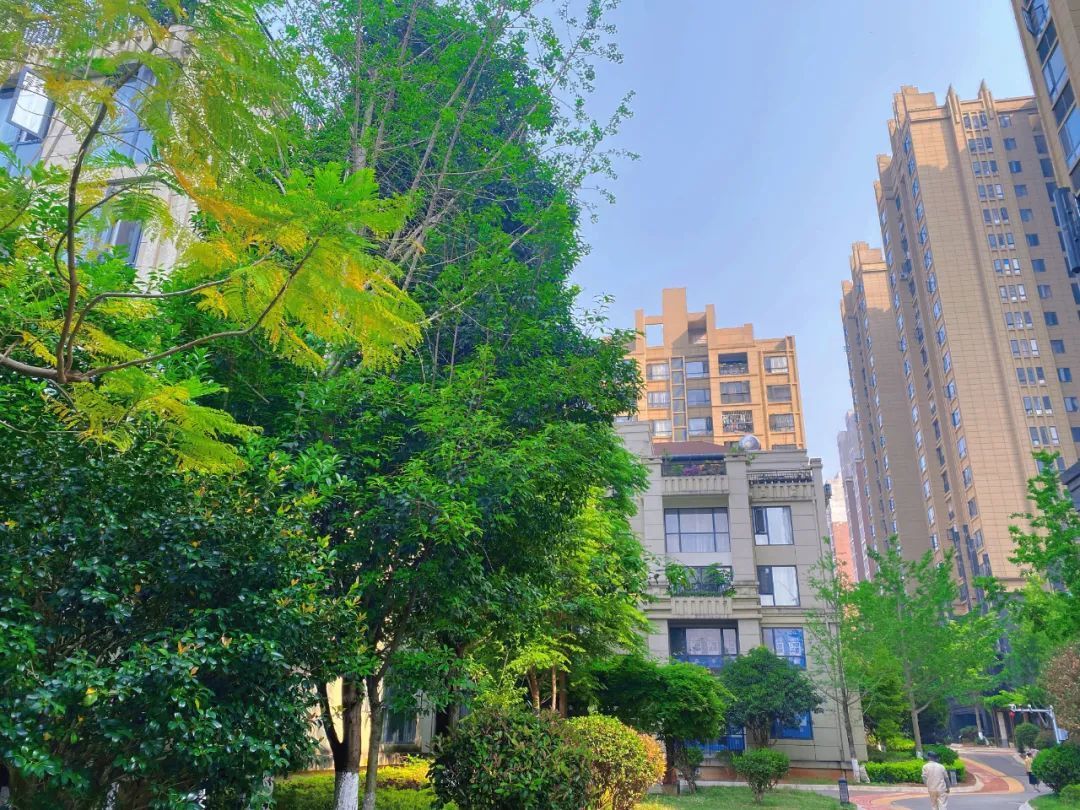 文山市：小区秀美如画6.jpg
