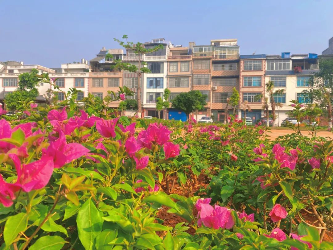 文山市：小区秀美如画4.jpg