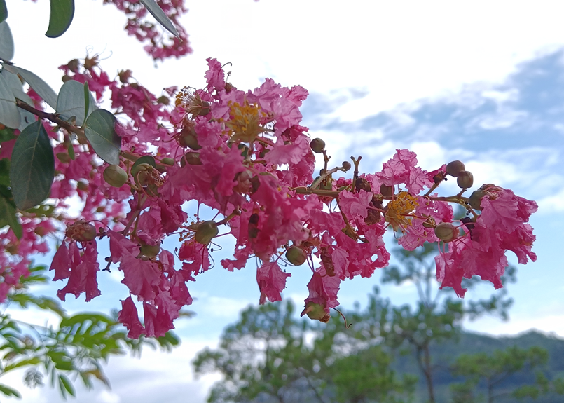 3d3ef6537c4743ed8cfdec6a63de29ef.png