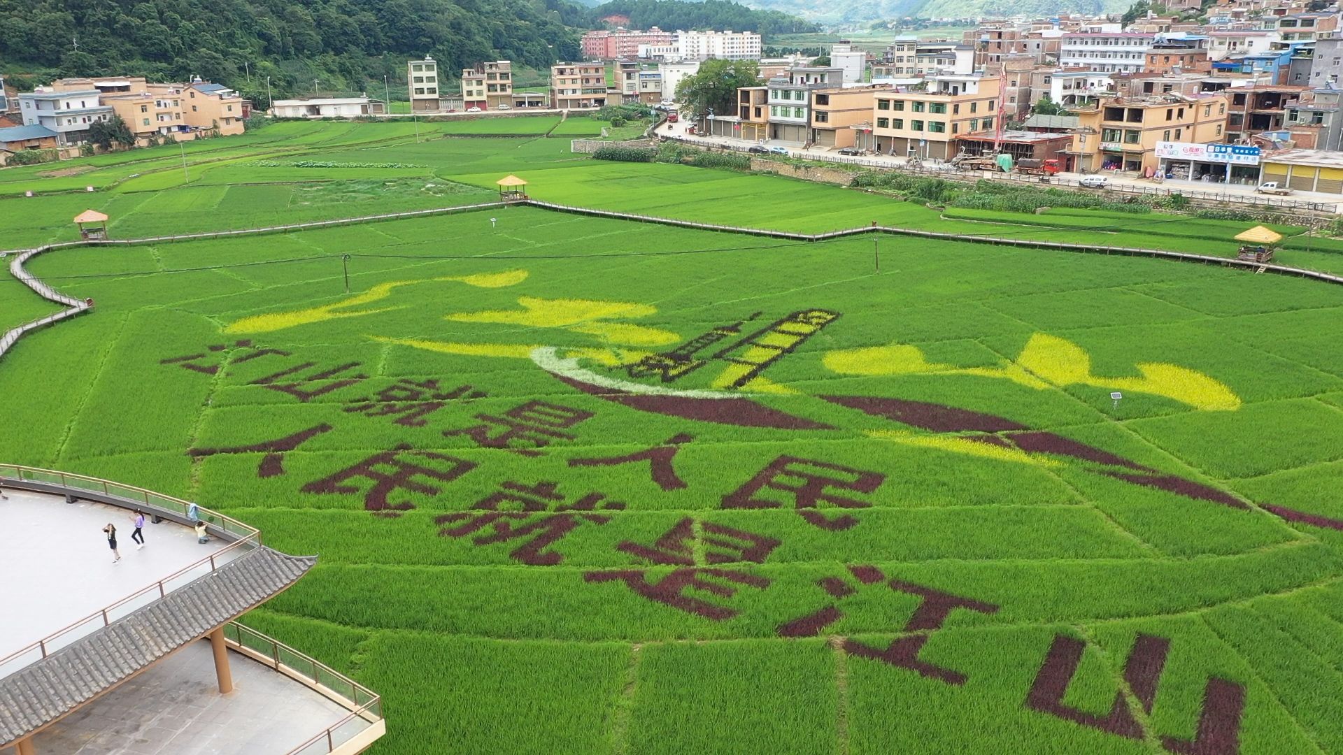 丘北.jpg