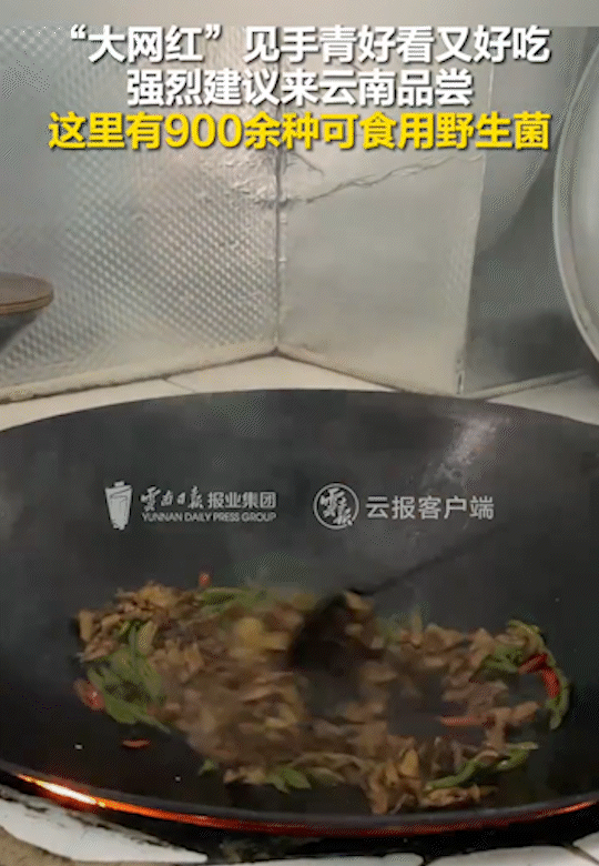 大网红2.gif