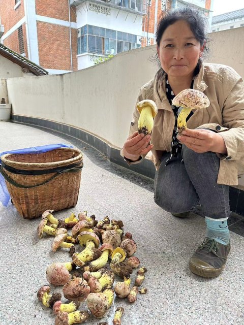 保山：骑上摩托去找菌，一找一箩筐配图 (7).jpg