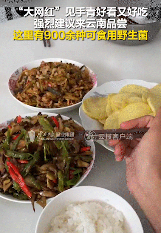 大网红3.gif
