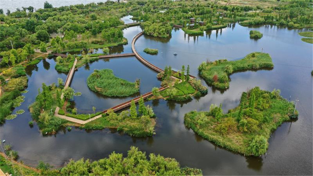 昆明王官湿地公园 陈飞 摄.jpg