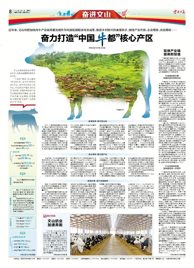 牛都.jpg