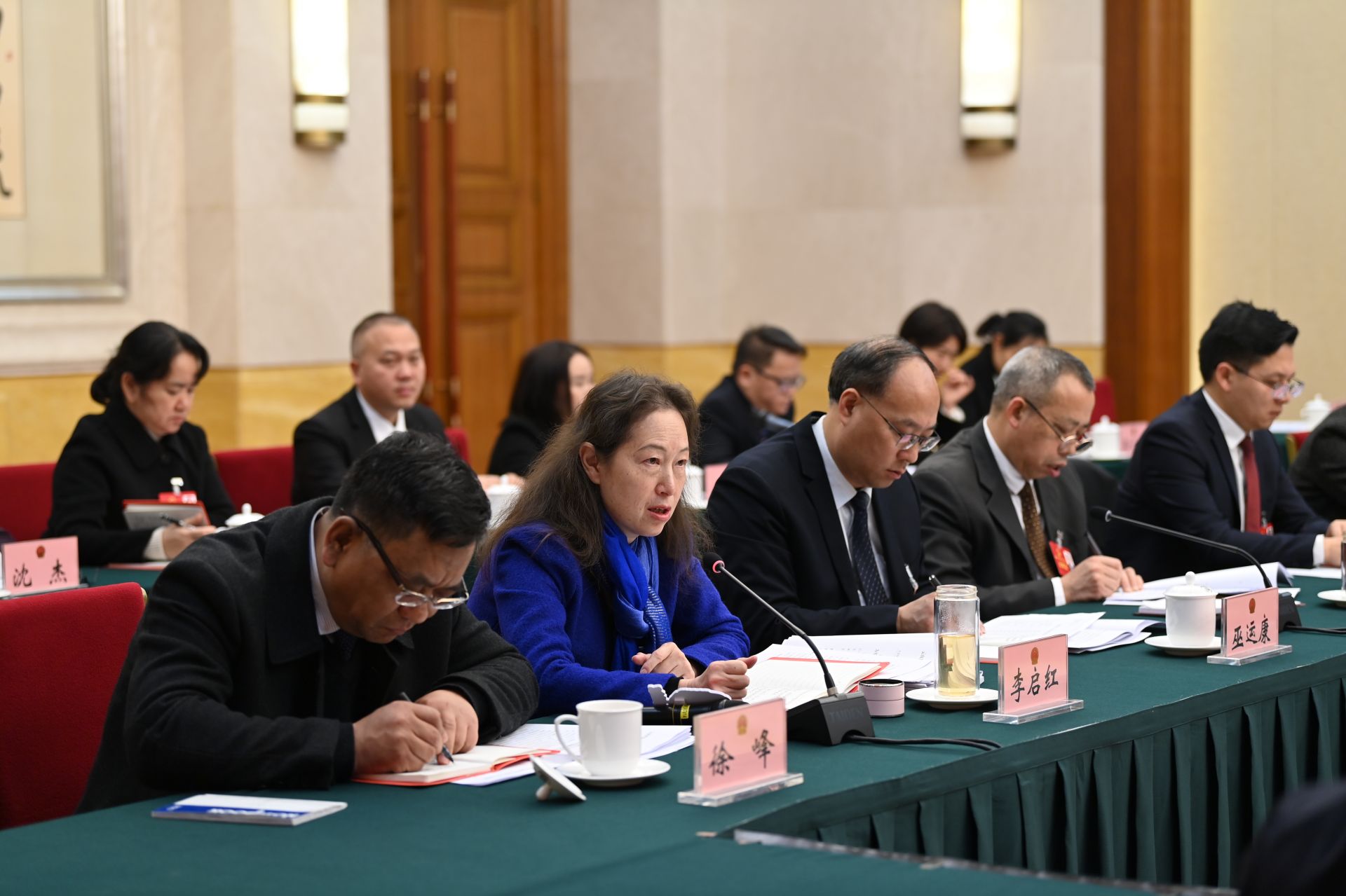 李启红发言.JPG