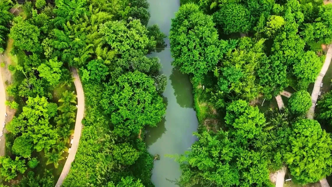 盘龙河3.png