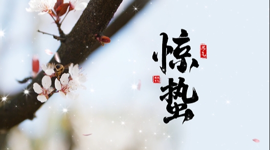 微信截图_20240304154545.png