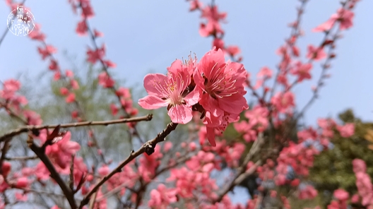 微信截图_20240304154334.png