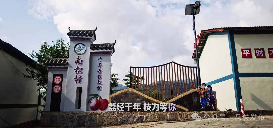 荔枝6.png
