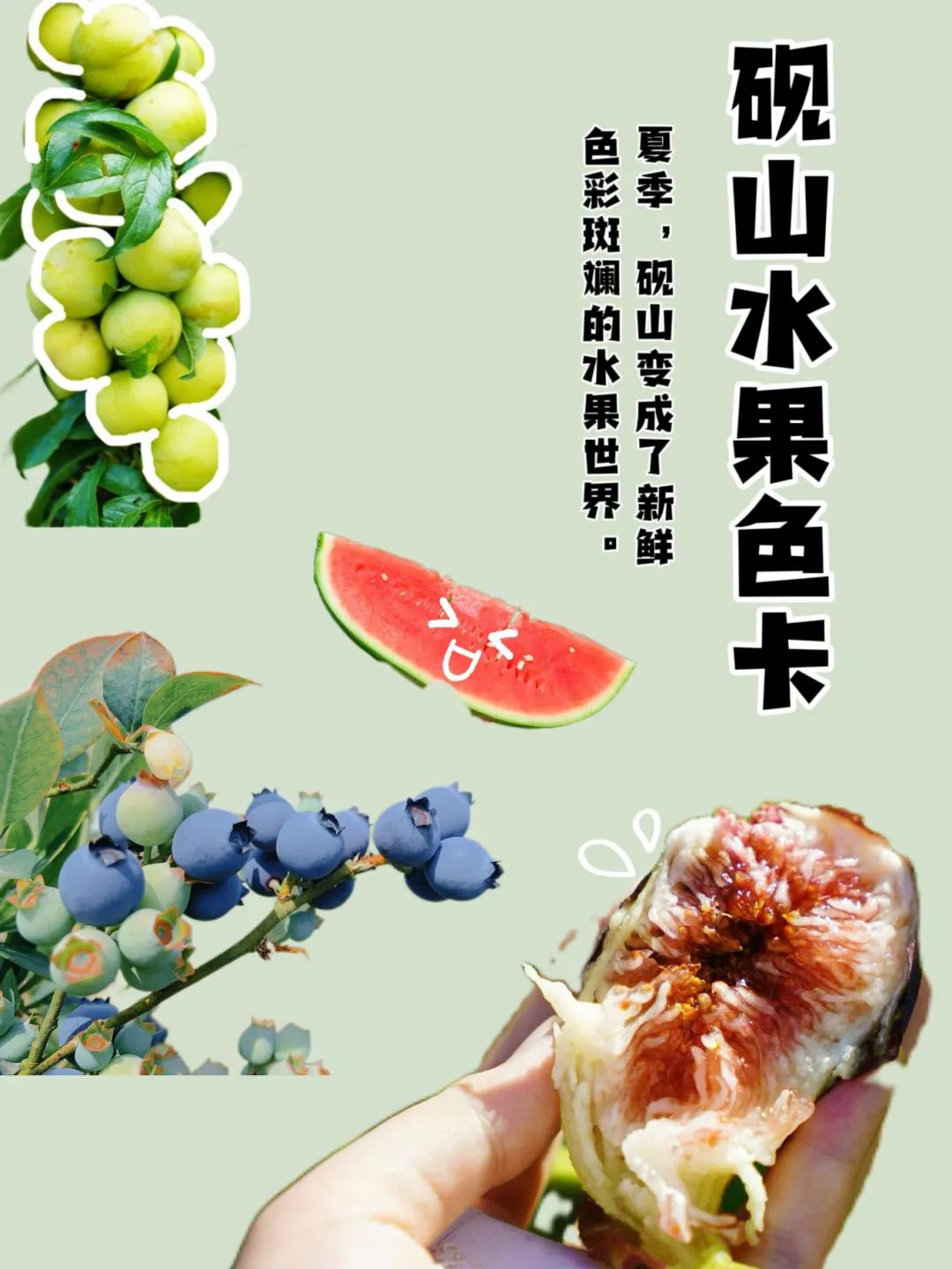 409a4d40c882cdd95a07a05e4bebd29c.jpg