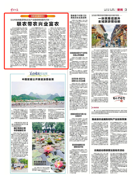 云南日报.png