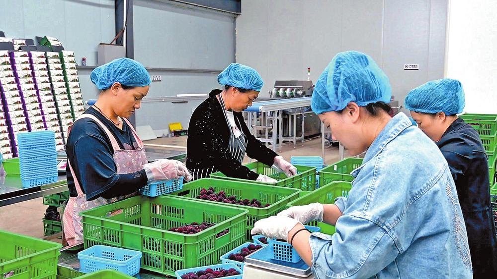 冷链.jpg