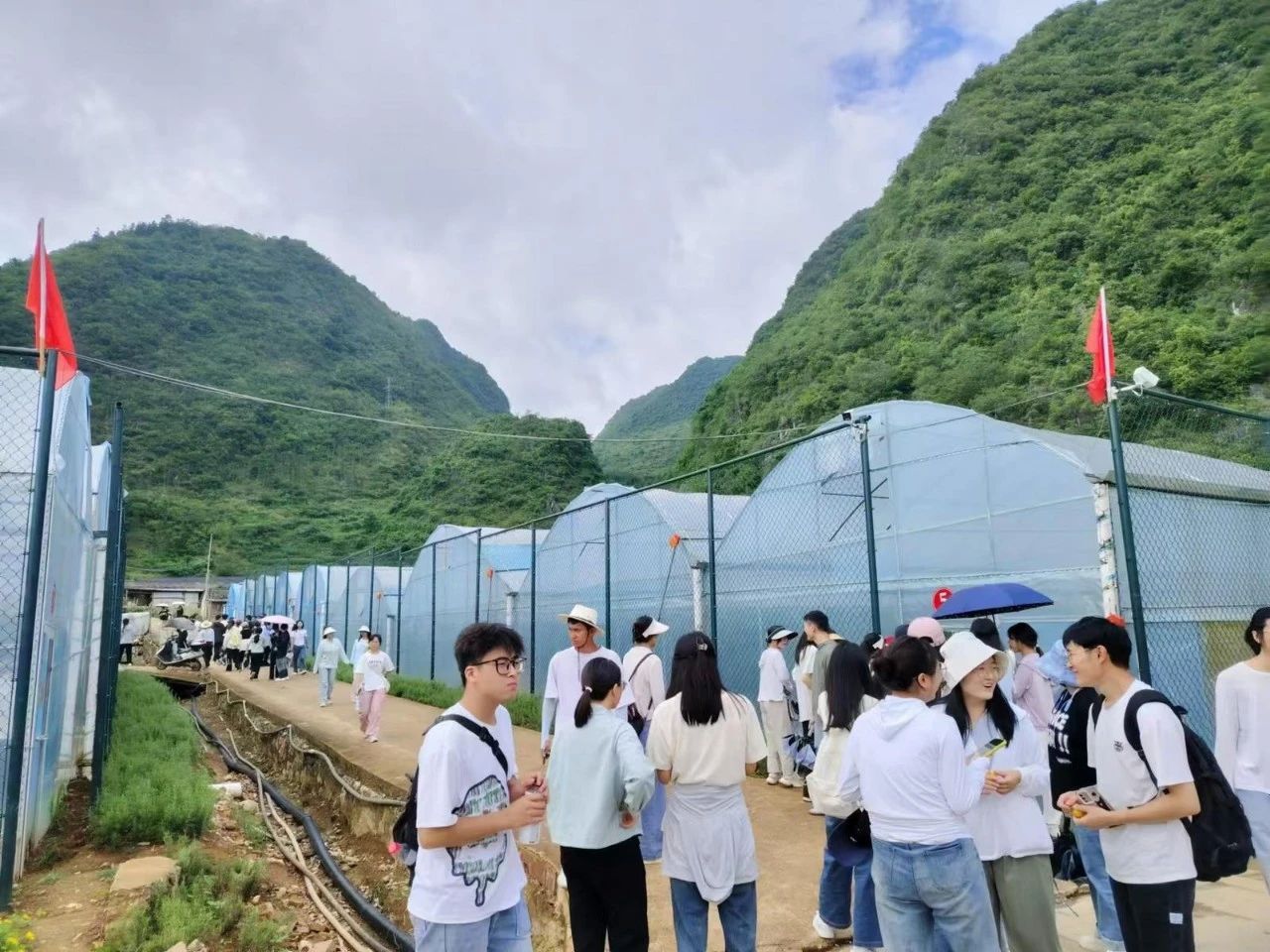 西畴营地4.jpg
