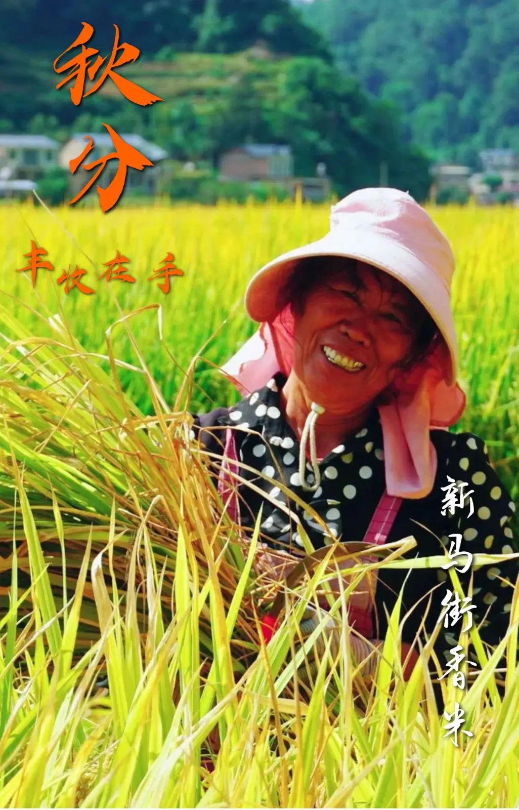 cf96b210ab900484903b5e015ed1690.png