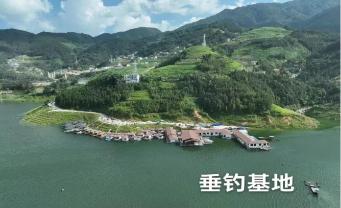 640 (1).webp (1).png