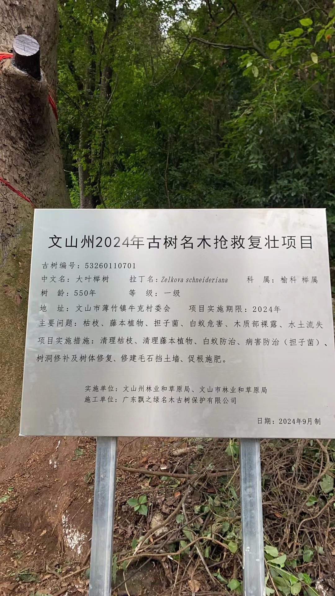 2d708e74cd6dbdfcc259b834462e4875_.jpg