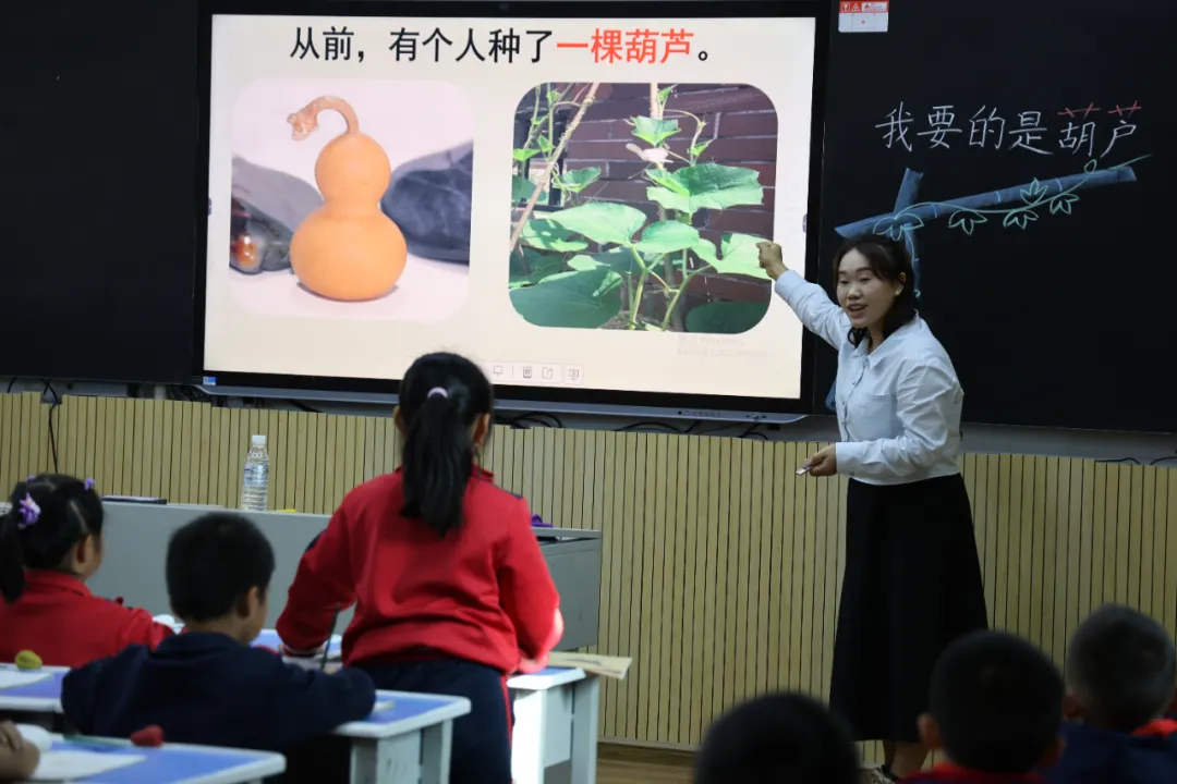 图片 7.png