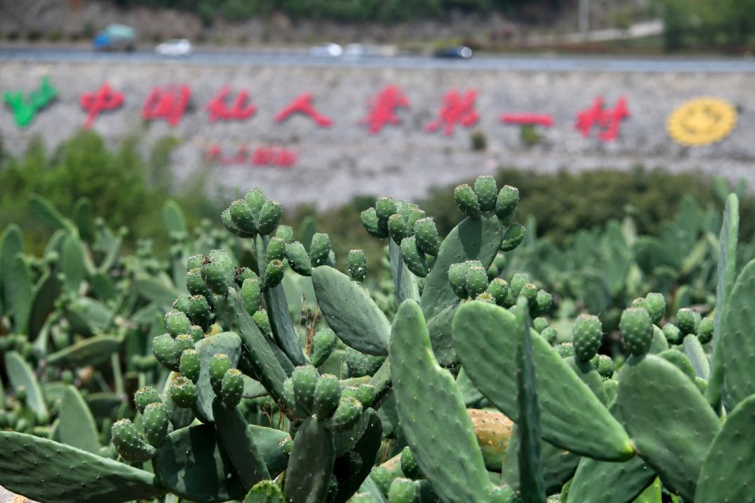 图片5.png
