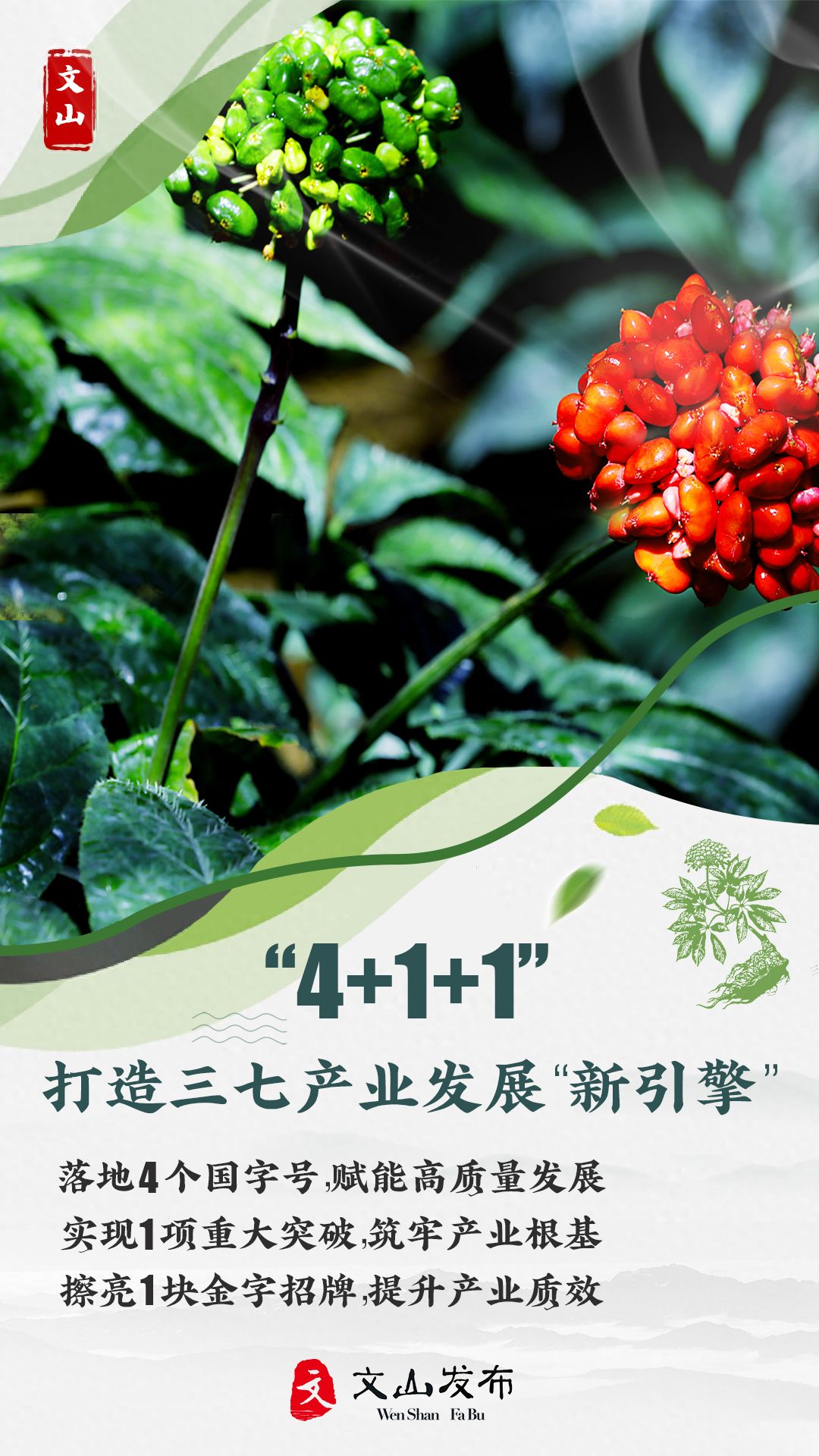 未标题-2 拷贝.jpg