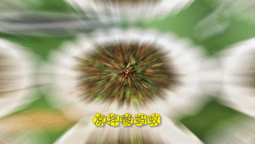 1718524237161031499.gif