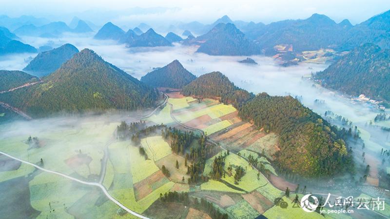 云雾之中油菜花若隐若现。熊平祥摄